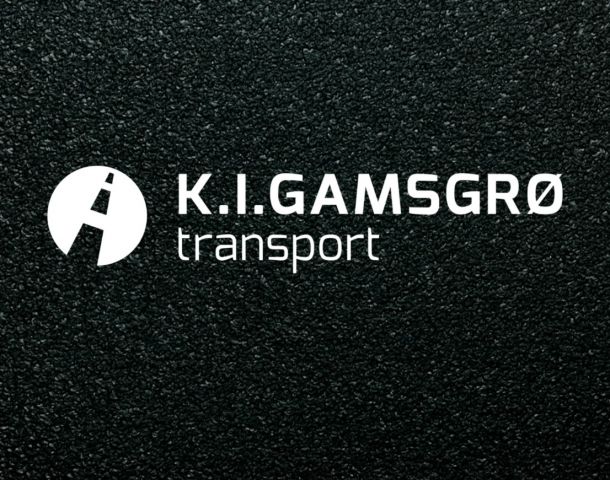 K. I. Gamsgrø