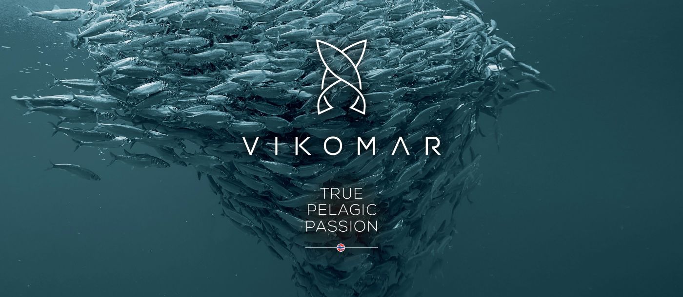 Vikomar_2800x1220_logo.jpg